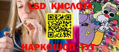 молекула духа Кингисепп