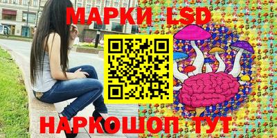 молекула духа Кингисепп