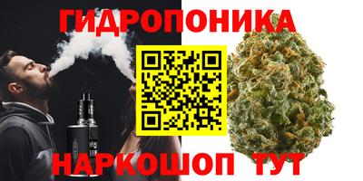 скорость Кинель