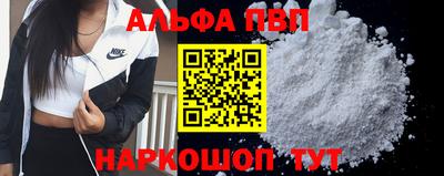молекула духа Кингисепп