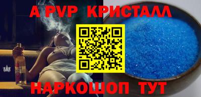 молекула духа Кингисепп