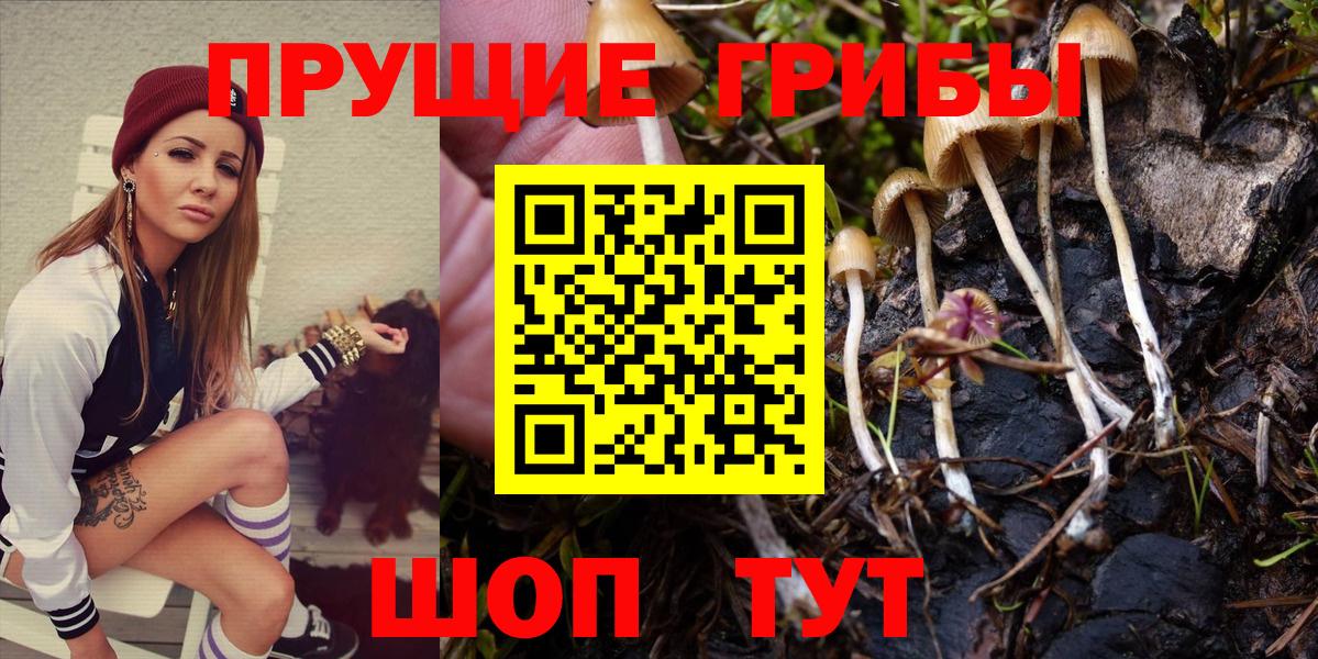 Галлюциногенные грибы прущие грибы  Вход с VPN  Красный Сулин 